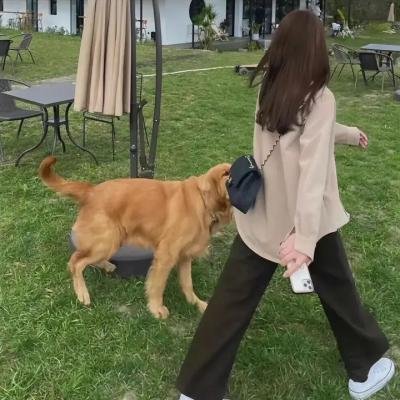 黑客军团第一季